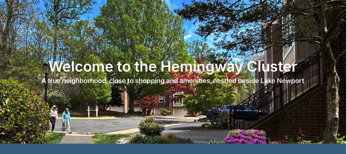 Hemingway Cluster